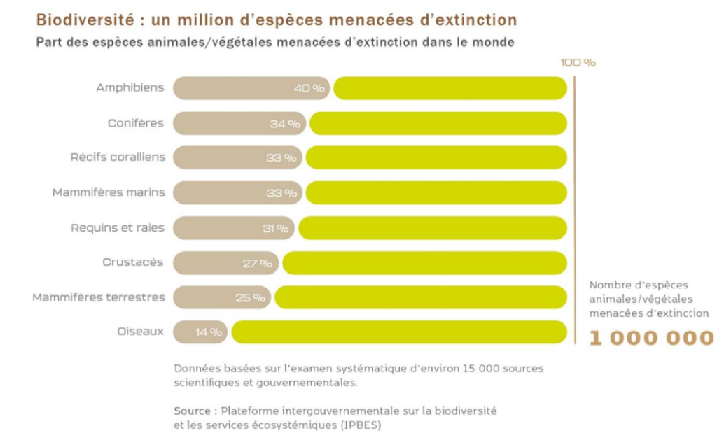 Graphique sur les statistiques d'extinction de la biodiversité